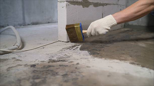 24/7 Emergency Crawl Space Encapsulation experts in Dixon Springs, TN